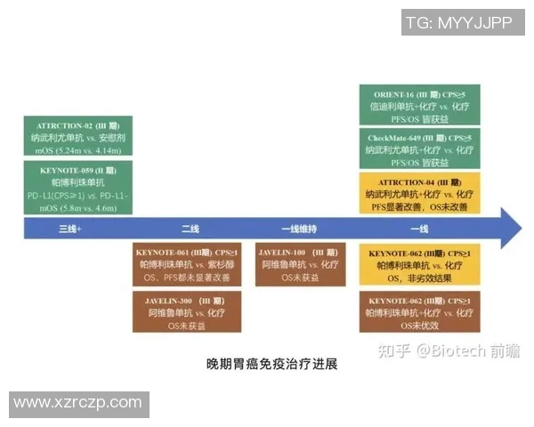 北京排球队近期状态分析与未来发展展望探讨